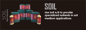 » Products